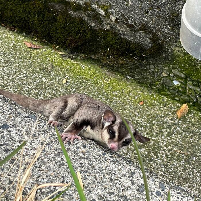 画像470