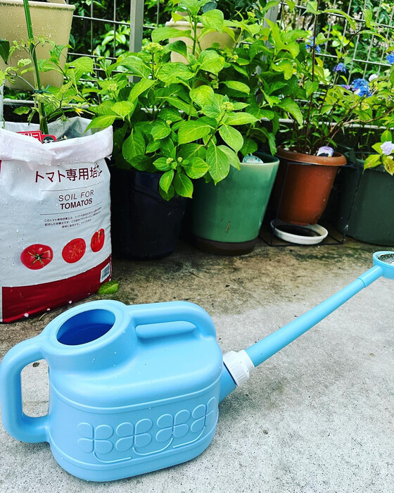 画像472