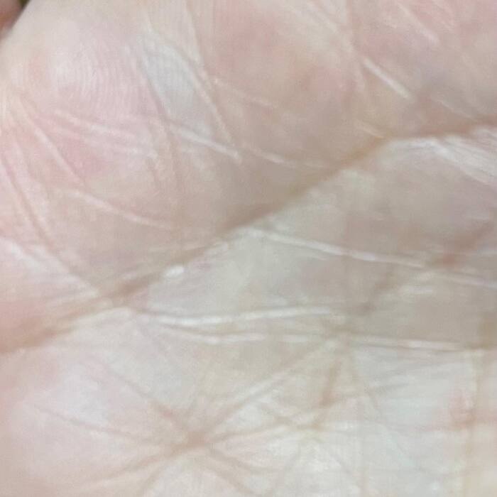 画像477