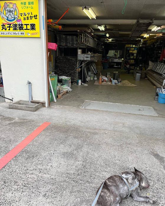 画像496
