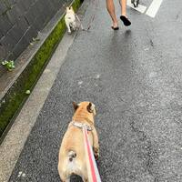 画像576