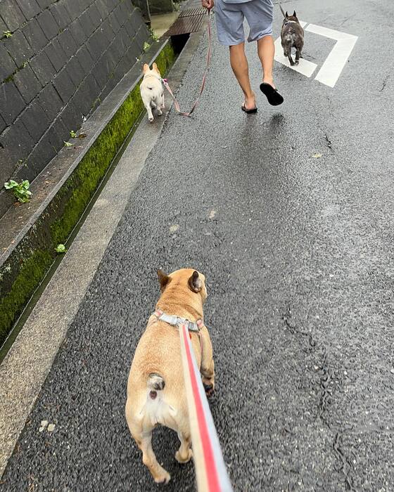 画像576