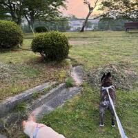 画像598