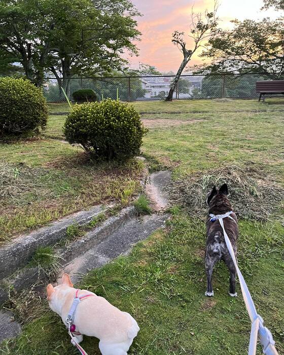 画像598
