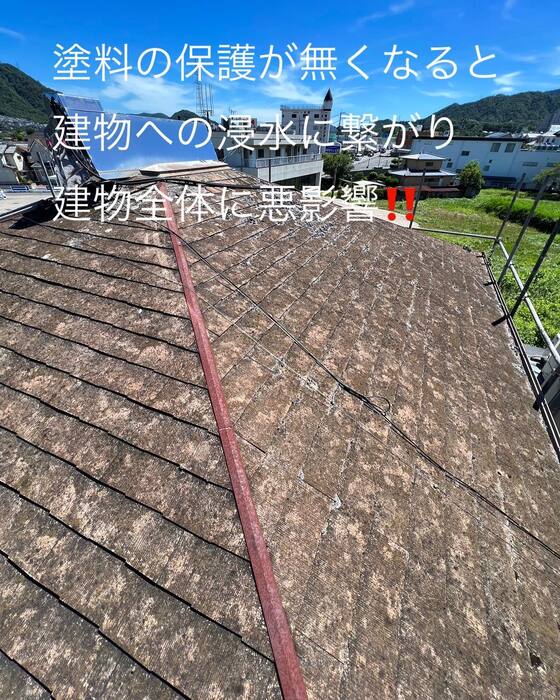 画像634