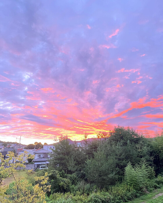 画像656