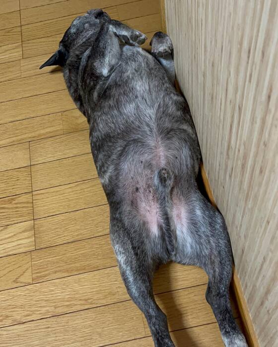 画像662