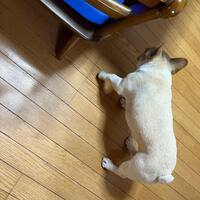 画像693