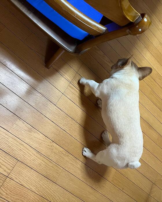 画像693