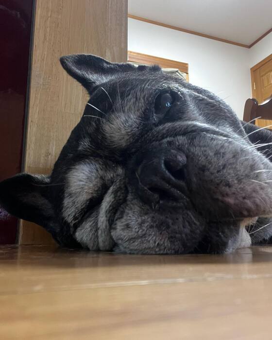 画像698