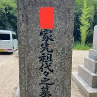 画像749