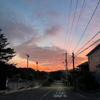 画像758