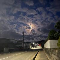 画像772