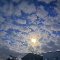 画像773