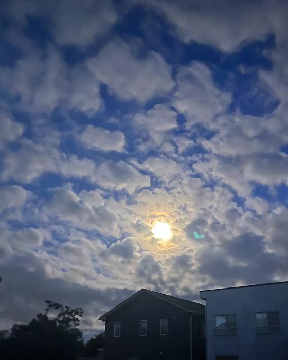 画像773