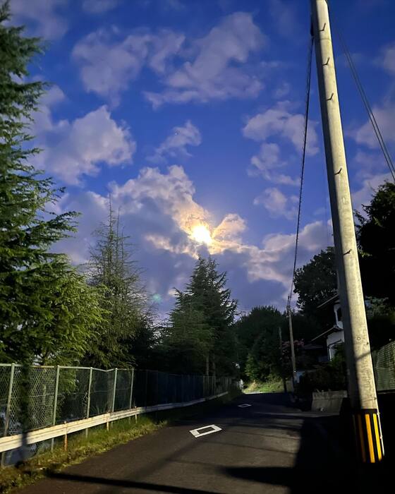 画像774