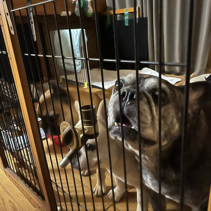 画像804
