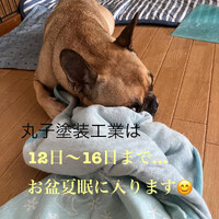 画像810