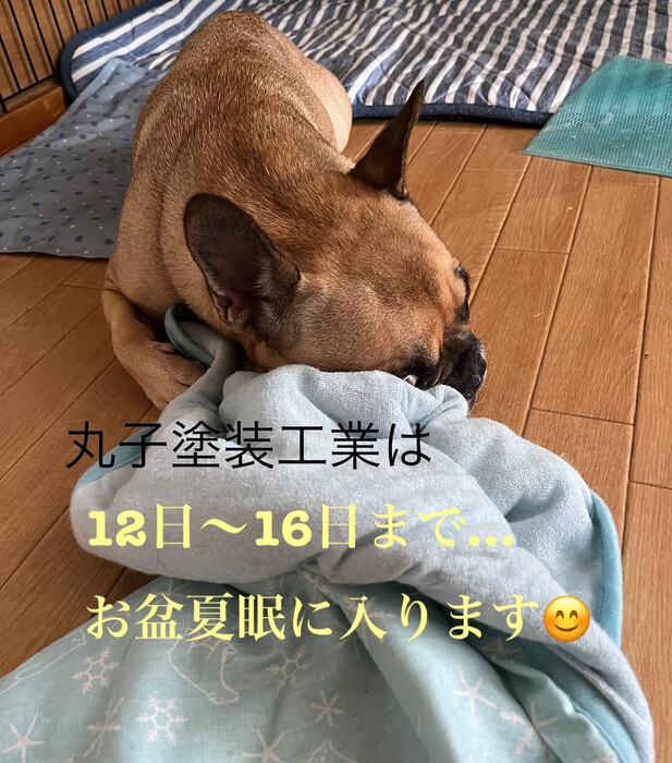 画像810