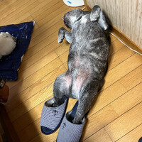 画像817