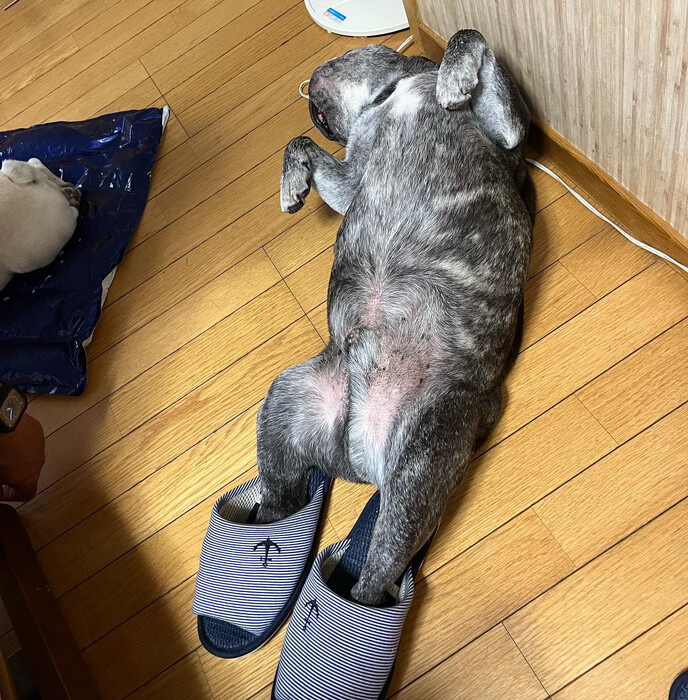 画像817