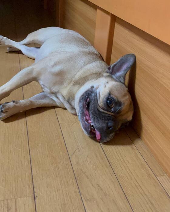 画像827