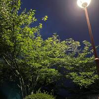 画像828