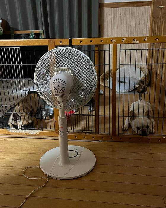 画像843