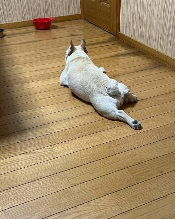 画像845