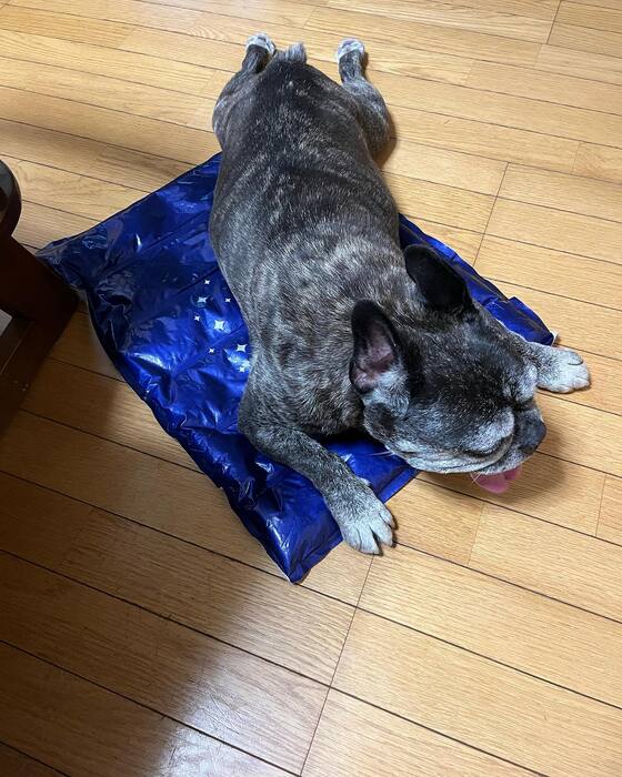 画像876
