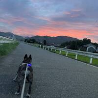 画像890