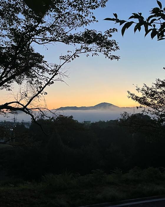画像973